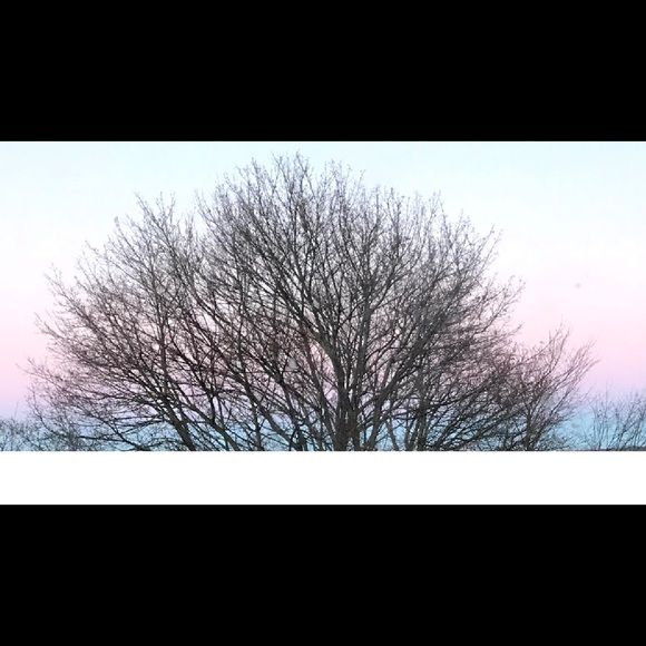 Meet your Posher, Kelly - Picture 1 of 1